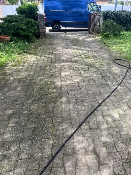Une allée pavée verdie par la mousse, un tuyau posé dessus.