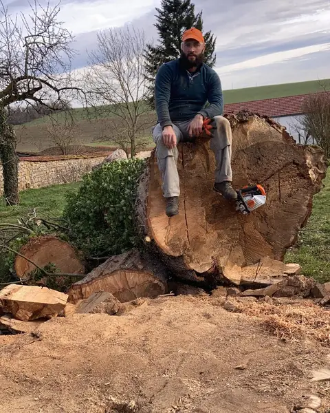 L'élagueur de PJ Elagage 01 assis sur une énorme bille de bois, parmi les rondins d'un arbre abattu.